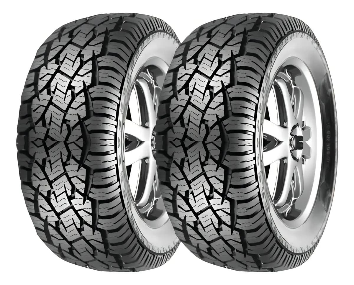 245/70r17 Roadwing Rw-at772 110t T